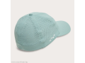 OAKLEY-шапка-PERFORMANCE 6 PANEL-Frost