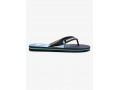 QUIKSILVER-Джапанки MOLOKAI ART - BLUE 1