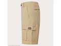 OAKLEY-къс панталон-B1B CARGO HYBRID SHORT 21-Pebble