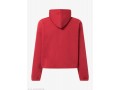 OAKLEY-суитчър-SUMMIT PEAK HOODIE-IRON RED